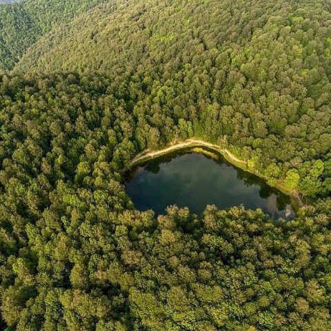 Տավուշի մարզ, ՀՀ