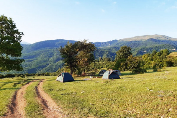 Վրանային գոտի - Կանաչ տուն