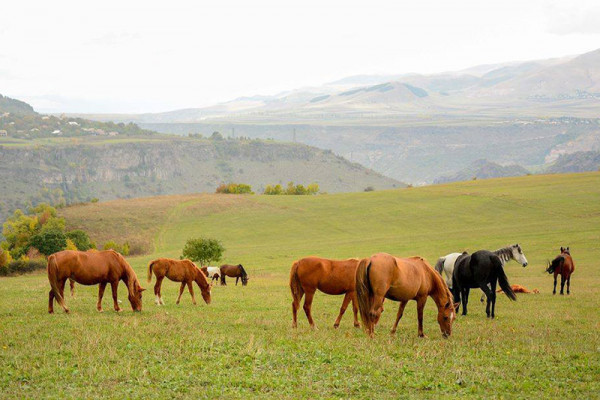 Օթևան հյուրատուն