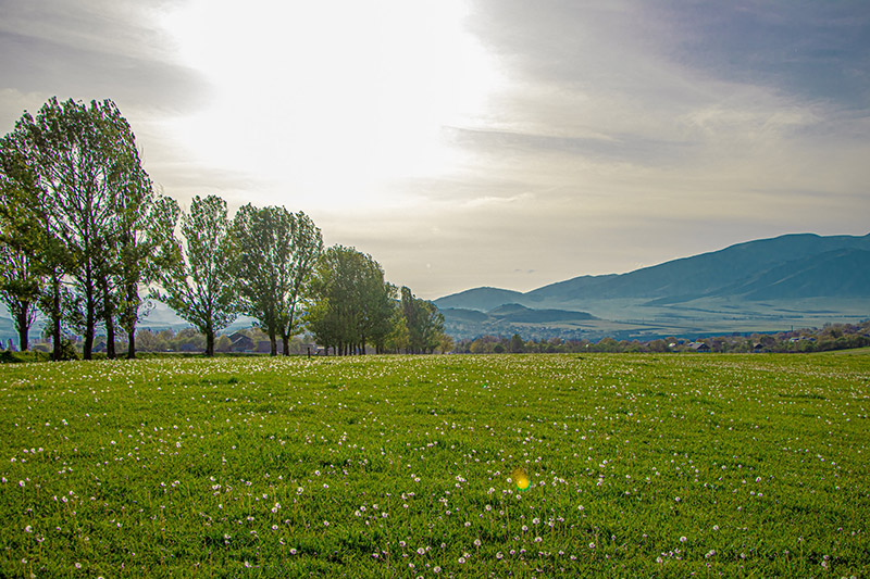 Ինչ անել Դսեղում