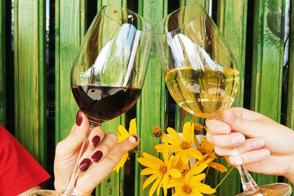 «Գինոտ էքսկուրսիա» Տավուշում - Այգեպանի տնակ