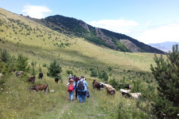 Քայլարշավ Պուշկինի լեռնանցքից Դենդրոպարկ, Տորմակավանք - Երկրաբանի տուն
