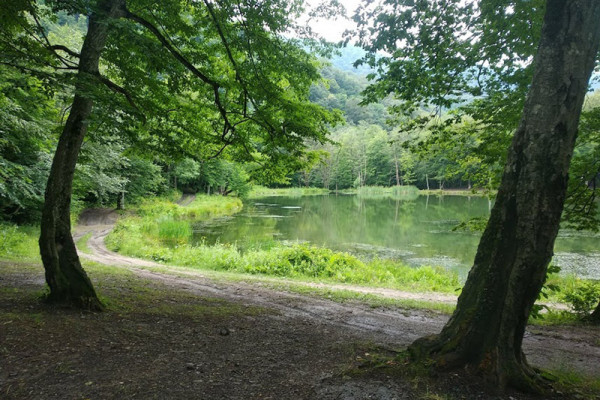 Քայլարշավ դեպի Գոշ լիճ՝ Ռուզան Ամիրյանի ուղեկցությամբ