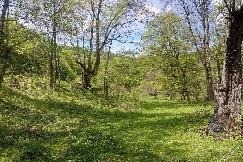 Onlayn yosh qizlar bilan ekstremal porno tomosha qiling