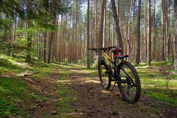 Հեծանիվների վարձակալություն Բելվեդեր Էկո Ռեզորթ հանգստյան գոտում