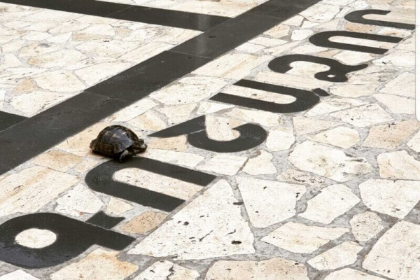 Տաղավարների վարձույթ Գոշաձոր հանգստի գոտում